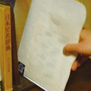 Classiky x Mushi Bunko A5 Paper File